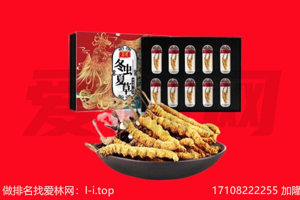无锡回收虫草.jpg